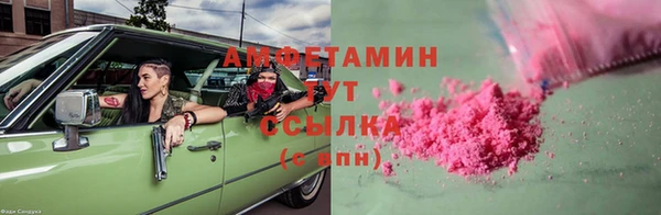 индика Костерёво