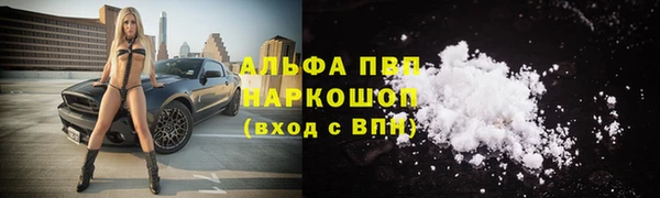 твердый Алексин